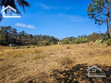 TERRENO UBICAOD EN EL GUAJOLOTE EPAZOYUCAN $550 EL M2
