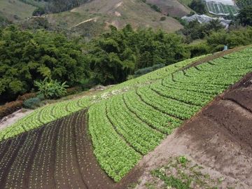 Venta de Finca Marinilla, Vereda la Gaviria