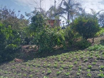 Venta de Finca Marinilla, Vereda la Gaviria