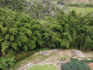 Venta de Finca Marinilla, Vereda la Gaviria