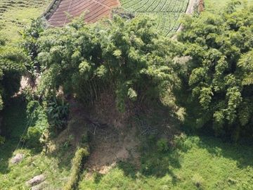 Venta de Finca Marinilla, Vereda la Gaviria