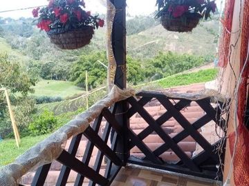 Venta de Finca Marinilla, Vereda la Gaviria