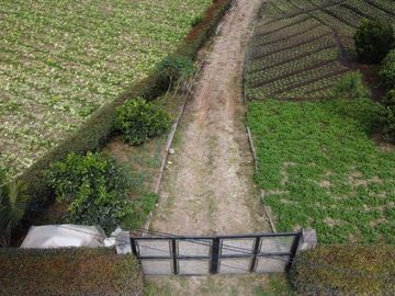 Venta de Finca Marinilla, Vereda la Gaviria