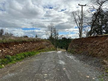 Vendo parcela 5.000 M2 A 3 Kms Río Bueno con Acceso al Río Bueno