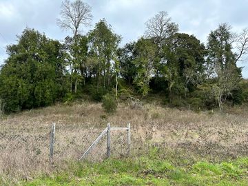 Vendo parcela 5.000 M2 A 3 Kms Río Bueno con Acceso al Río Bueno