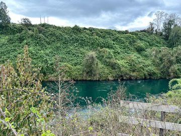 Vendo parcela 5.000 M2 A 3 Kms Río Bueno con Acceso al Río Bueno