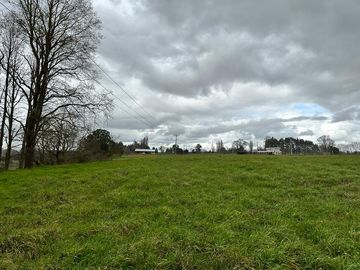 Vendo parcela 5.000 M2 A 3 Kms Río Bueno con Acceso al Río Bueno