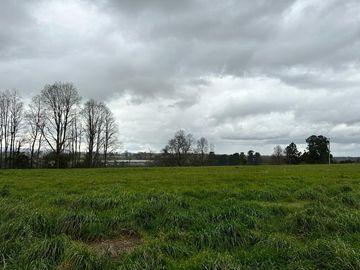 Vendo parcela 5.000 M2 A 3 Kms Río Bueno con Acceso al Río Bueno
