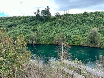 Vendo parcela 5.000 M2 A 3 Kms Río Bueno con Acceso al Río Bueno