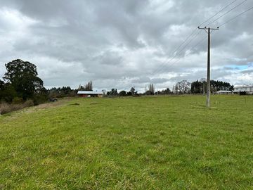 Vendo parcela 5.000 M2 A 3 Kms Río Bueno con Acceso al Río Bueno