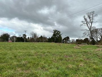 Vendo parcela 5.000 M2 A 3 Kms Río Bueno con Acceso al Río Bueno