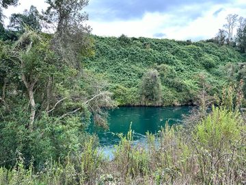 Vendo parcela 5.000 M2 A 3 Kms Río Bueno con Acceso al Río Bueno