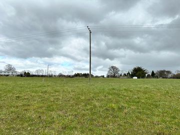 Vendo parcela 5.000 M2 A 3 Kms Río Bueno con Acceso al Río Bueno