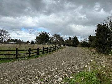Vendo parcela 5.000 M2 A 3 Kms Río Bueno con Acceso al Río Bueno