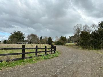 Vendo parcela 5.000 M2 A 3 Kms Río Bueno con Acceso al Río Bueno