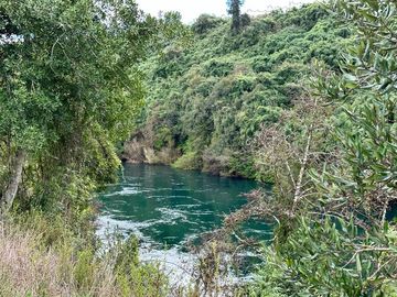 Vendo parcela 5.000 M2 A 3 Kms Río Bueno con Acceso al Río Bueno