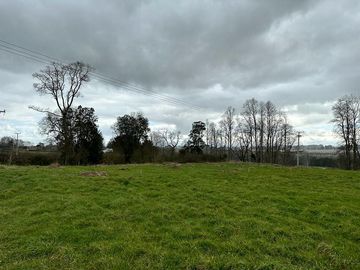 Vendo parcela 5.000 M2 A 3 Kms Río Bueno con Acceso al Río Bueno