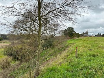 Vendo parcela 5.000 M2 A 3 Kms Río Bueno con Acceso al Río Bueno