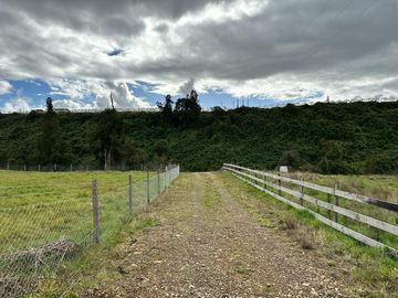 Vendo parcela 5.000 M2 A 3 Kms Río Bueno con Acceso al Río Bueno