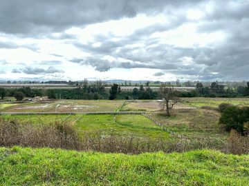 Vendo parcela 5.000 M2 A 3 Kms Río Bueno con Acceso al Río Bueno