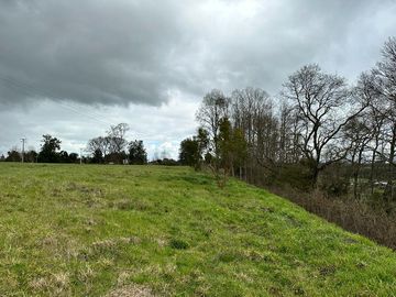 Vendo parcela 5.000 M2 A 3 Kms Río Bueno con Acceso al Río Bueno