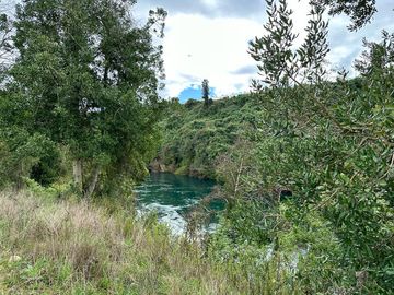 Vendo parcela 5.000 M2 A 3 Kms Río Bueno con Acceso al Río Bueno