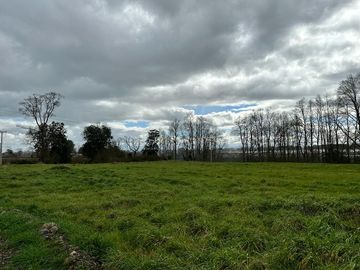 Vendo parcela 5.000 M2 A 3 Kms Río Bueno con Acceso al Río Bueno