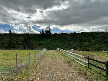Vendo parcela 5.000 M2 A 3 Kms Río Bueno con Acceso al Río Bueno