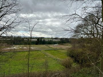 Vendo parcela 5.000 M2 A 3 Kms Río Bueno con Acceso al Río Bueno