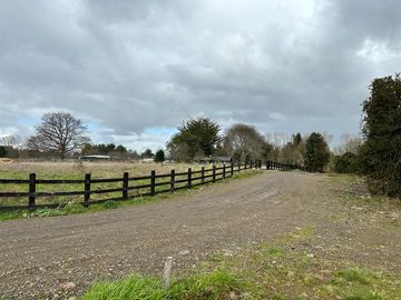 Vendo parcela 5.000 M2 A 3 Kms Río Bueno con Acceso al Río Bueno