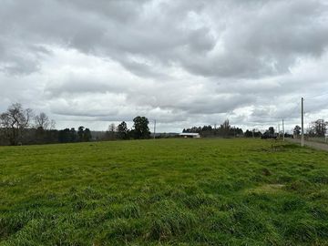 Vendo parcela 5.000 M2 A 3 Kms Río Bueno con Acceso al Río Bueno