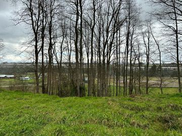 Vendo parcela 5.000 M2 A 3 Kms Río Bueno con Acceso al Río Bueno