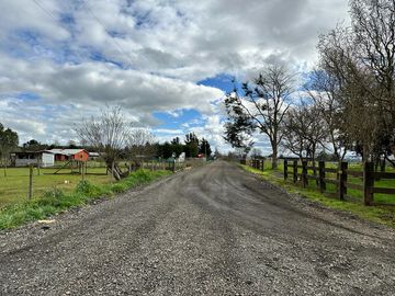Vendo parcela 5.000 M2 A 3 Kms Río Bueno con Acceso al Río Bueno