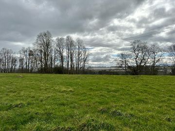 Vendo parcela 5.000 M2 A 3 Kms Río Bueno con Acceso al Río Bueno