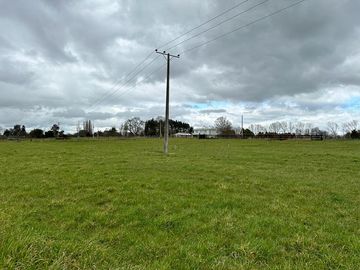 Vendo parcela 5.000 M2 A 3 Kms Río Bueno con Acceso al Río Bueno
