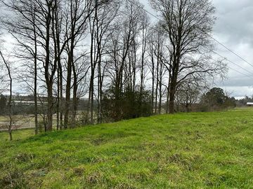 Vendo parcela 5.000 M2 A 3 Kms Río Bueno con Acceso al Río Bueno
