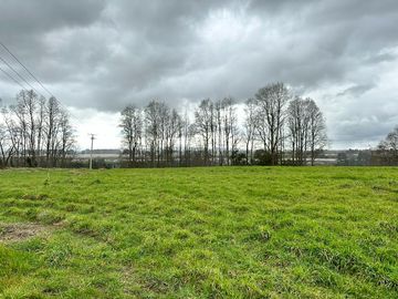 Vendo parcela 5.000 M2 A 3 Kms Río Bueno con Acceso al Río Bueno
