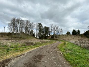 Vendo parcela 5.000 M2 A 3 Kms Río Bueno con Acceso al Río Bueno