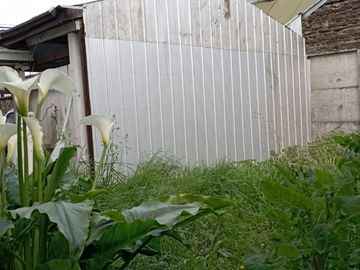 AVENIDA ERRAZURIZ, CASA, DEPTO Y DOS CABAÑAS $ 286.000.000.
