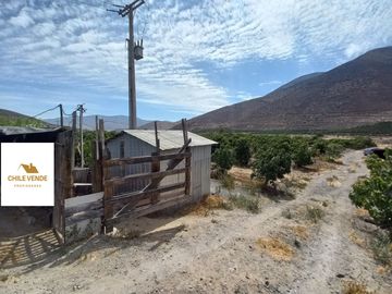 Petorca, parcela en producción con abundante agua.
