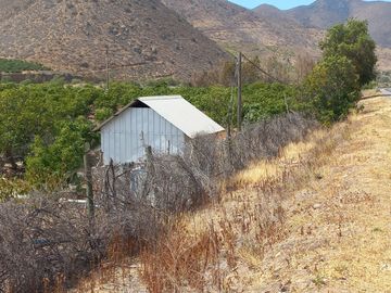 Petorca, parcela en producción con abundante agua.