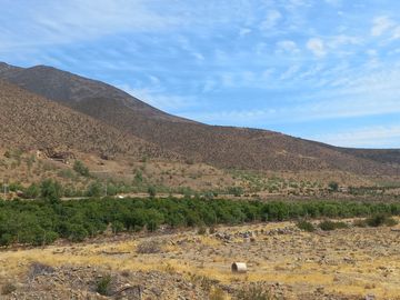 Petorca, parcela en producción con abundante agua.