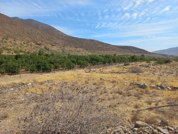 Petorca, parcela en producción con abundante agua.