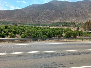 Petorca, parcela en producción con abundante agua.