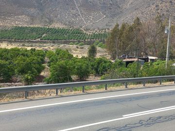 Petorca, parcela en producción con abundante agua.
