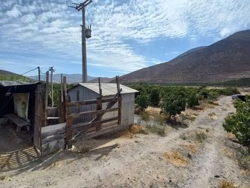 Petorca, parcela en producción con abundante agua.