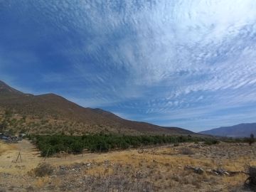 Petorca, parcela en producción con abundante agua.