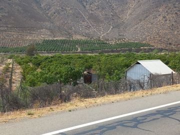 Petorca, parcela en producción con abundante agua.