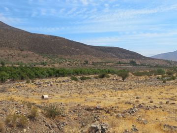 Petorca, parcela en producción con abundante agua.