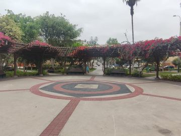 Alquilo Dúplex San Borja 150 m² Frente a Parque 1er Piso/ Us$1,000